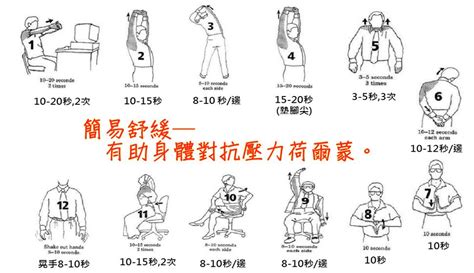 "Corporate Health Transformation Program: A Complete Solution from Physical and Mental Balance to an Effective Team"