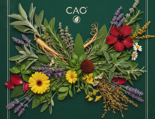 🎥 CAO 30-45mins 免費直播課程