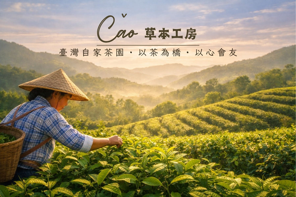 載入影片：臺灣自家茶園影片
